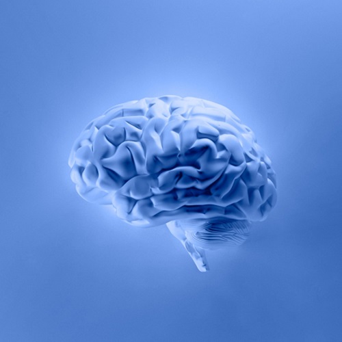 geriatricarea Día Mundial del Cerebro CNA prevención cuidados cerebro