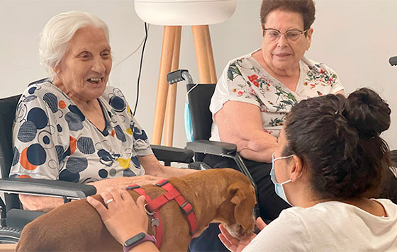 geriatricarea CleceVitam Ceritania terapia asistida perros