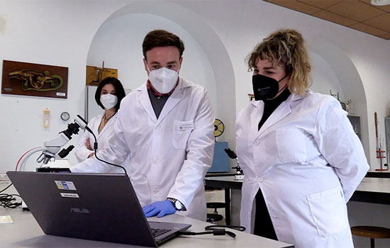 geriatricarea regulacion cardiovascular demencia