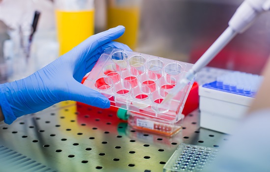 Geriatricarea laboratorios Salvat células madre tratamiento en fracturas no consolidadas