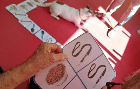 Geriatricarea- Actividad asistida con perros