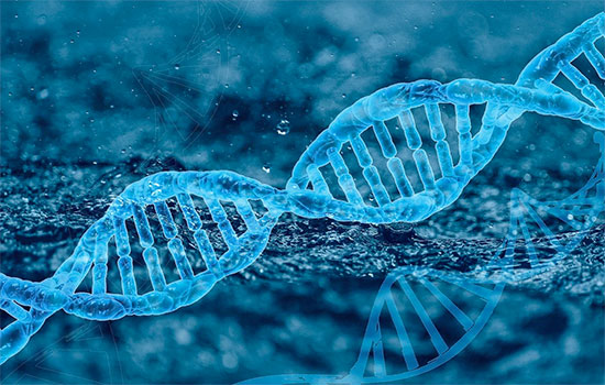 geriatricarea Alzheimer silenciamiento genes