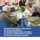 geriatricarea necesidades nutricionales personas mayores