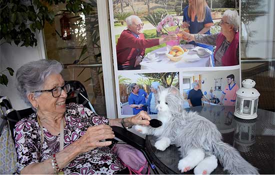 geriatricarea Roboterapia ballesol