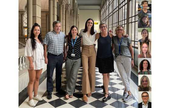 Geriatricarea- vesiculas neuronales