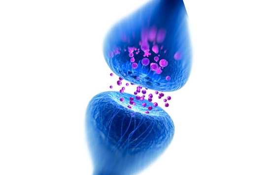 Geriatricarea- vesículas neuronales en la lucha contra la neurodegeneración