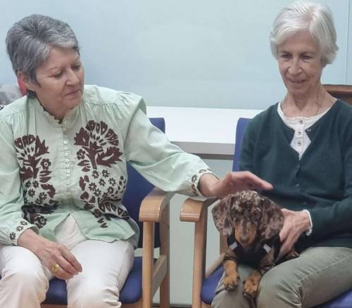geriatricarea Neurovida terapia asistida con animales