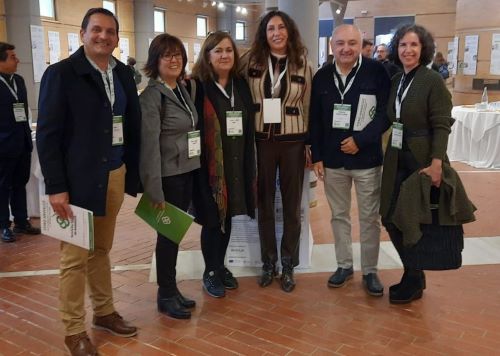 Geriatricarea ConFeafa alzheimer