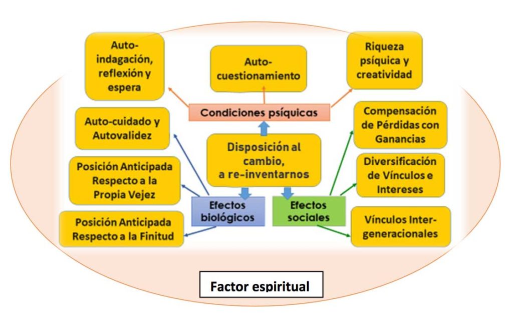 geriatricarea Zarebski Fragilidad envejecimiento