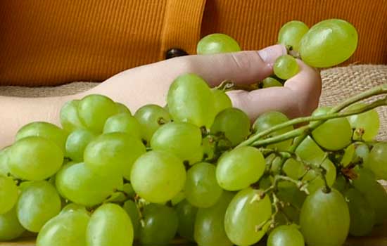 geriuatricarea atragantamiento uvas