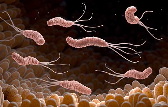 geriatricarea Helicobacter pylori alzheimer