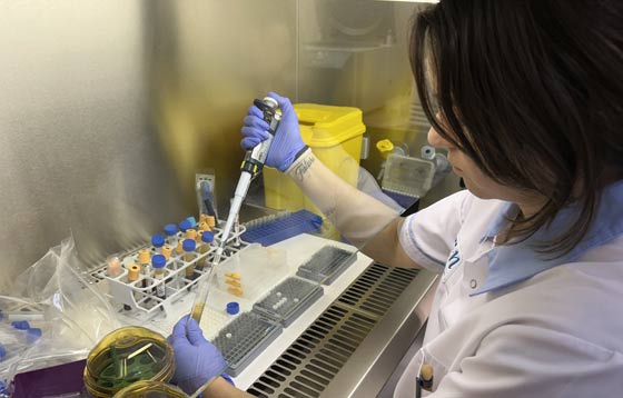 Geriatricarea, Alzheimer, enfermedades neurodegenerativas, laboratorio