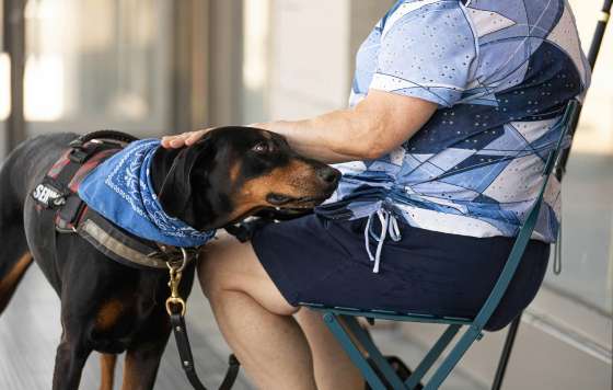 Geriatricarea- Perroterapia