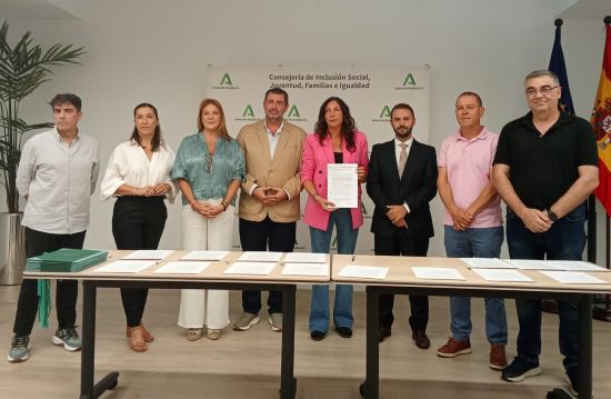 geriatricarea Observatorio Andaluz del Servicio de Ayuda a Domicilio