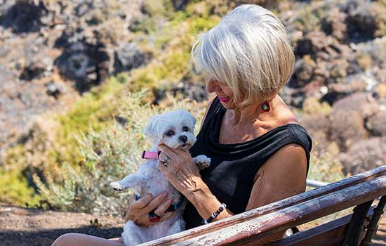 geriatricarea bienestar psicologico animales