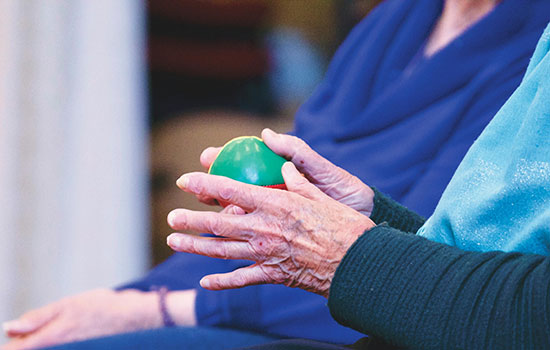 geriatricarea cuidador deterioro cognitivo