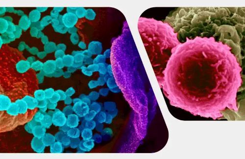 geriatricarea investigacion en salud