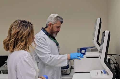 geriatricarea Hospital 12 de Octubre alzheimer