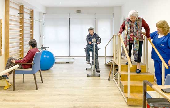 geriatricarea fisioterapia geriatrica albertia