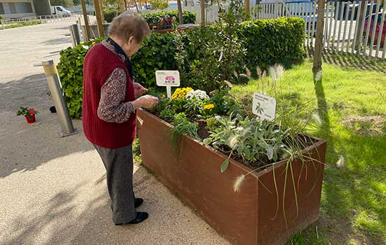 geriatricarea Jardines Terapeuticos