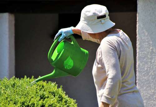 geriatricarea horticultura