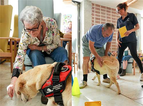 geriatricarea terapia asistida con perros