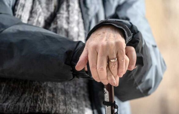 BIT Habitat ciudad proactiva