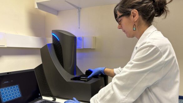 geriatricarea alzheimer hospital 12 octubre