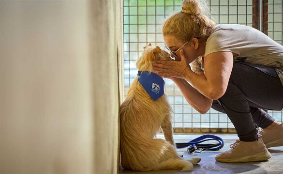 geriatricarea mayores amiigos