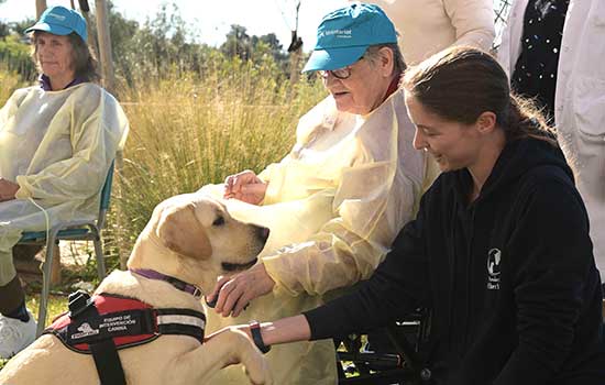 geriatricarea intervencion asistida con perros