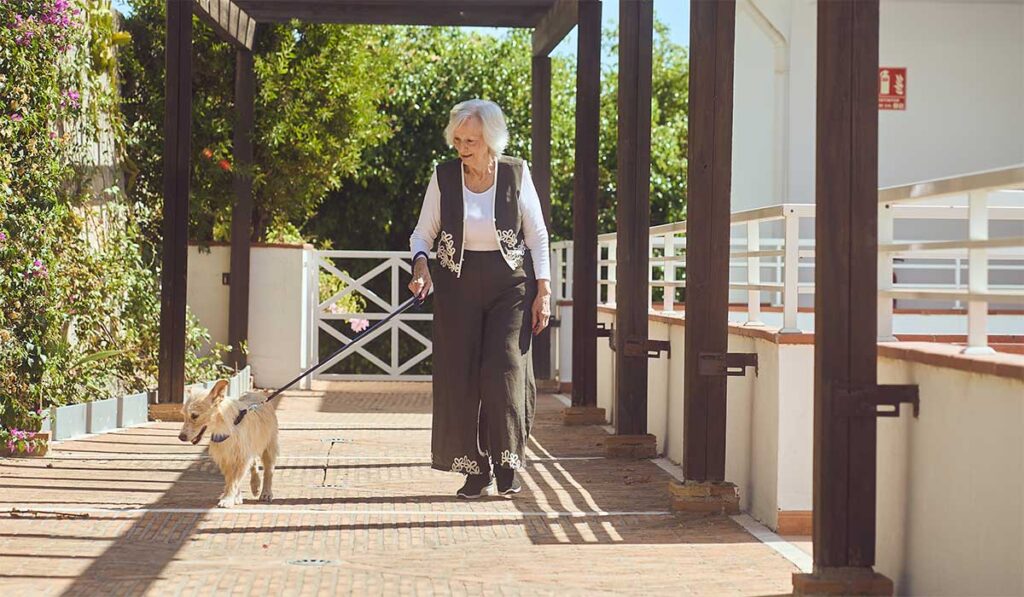 geriatricarea mayores amiigos