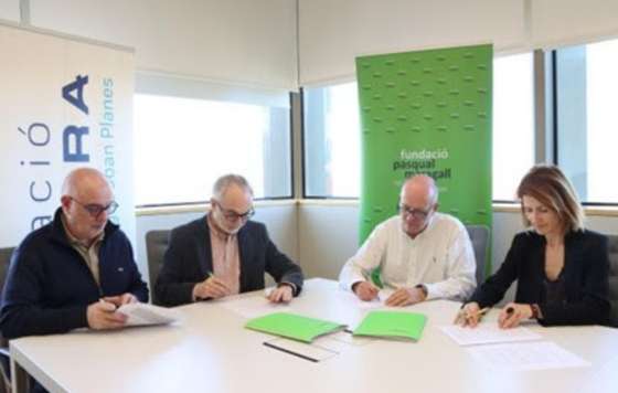 Geriatricarea- deterioro cognitivo piscinas