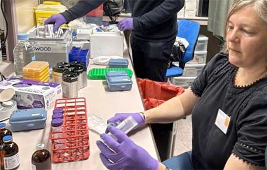 geriatricarea Parkinson Fundacion Alcorcon