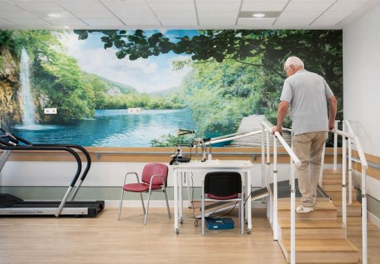 geriatricarea ejercicio terapeutico