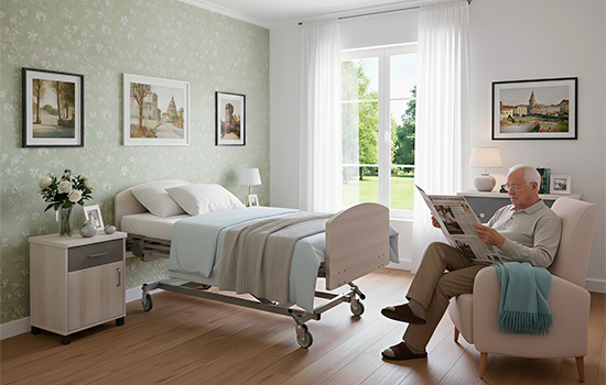 geriatricarea pardo camas