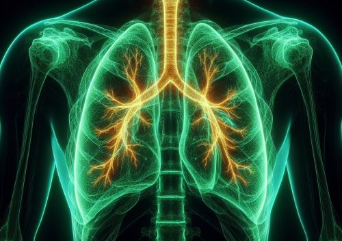 geriatricarea Fisioterapia Neurologica