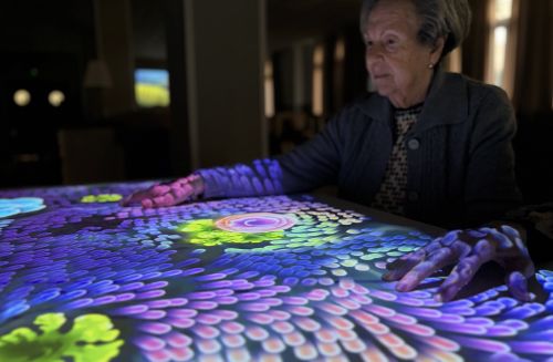 geriatricarea Savia Tovertafel