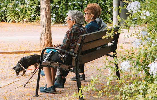 geriatricarea cambio climatico personas mayores