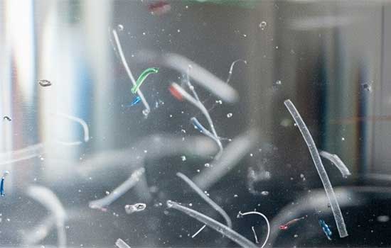 geriatricarea microplasticos