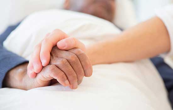 geriatricarea SEGG