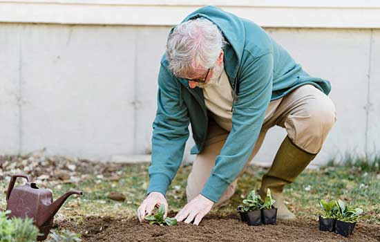 geriatricarea actividades significativas