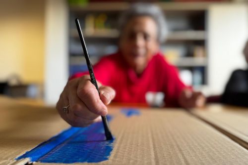 geriatricarea albertia