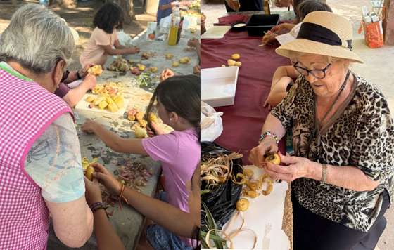 Geriatricarea- envejecimiento activo, huertos intergeneracionales, talleres de cocina rural