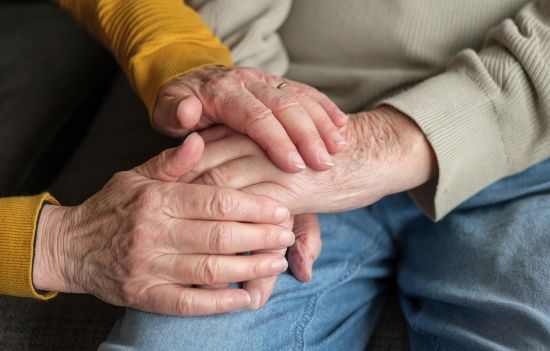 geriatricarea Ley de Dependencia