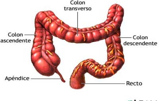 geriatricarea estrenimiento impactacion fecal