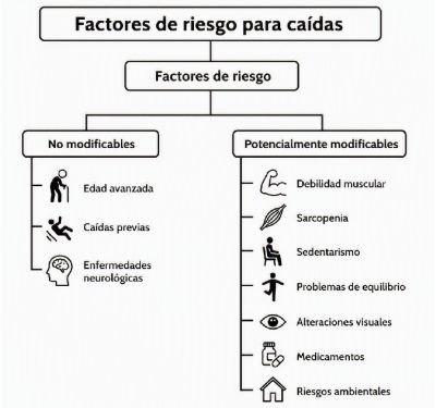 geriatricarea prevenir caidas