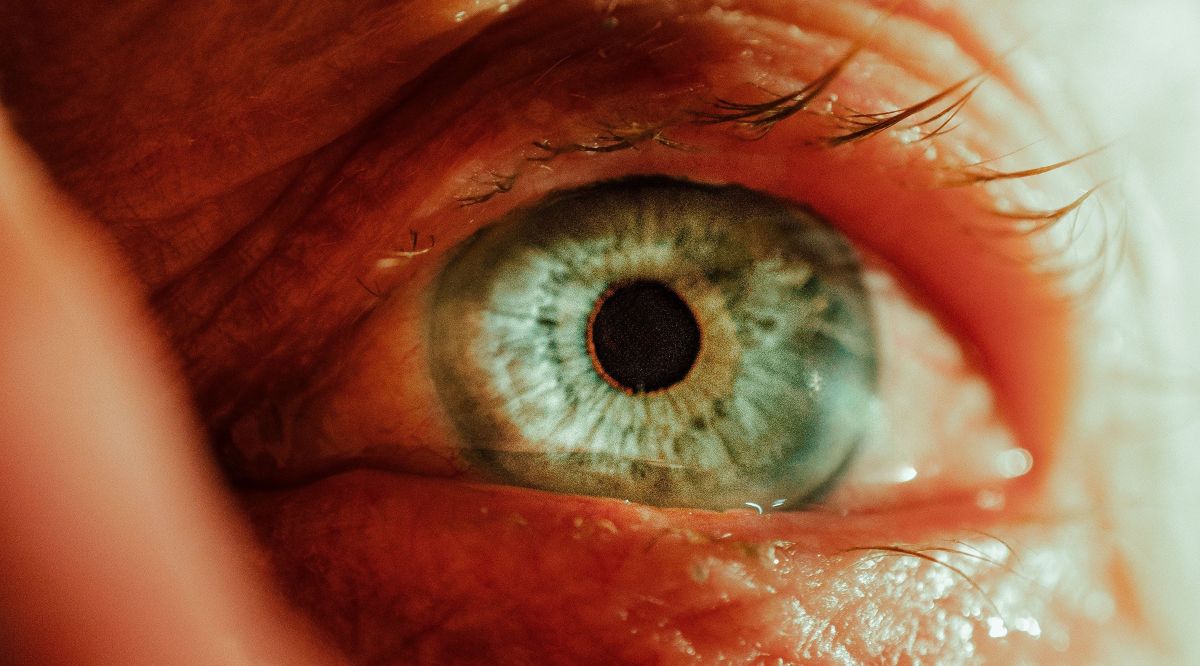La fotografía de retina y la inteligencia artificial podrían predecir el riesgo de Alzheimer años antes de los síntomas