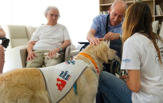 Geriatricarea- Kiwoko y Amavir lanzan 'Momentos Senior', terapias con perros para combatir la soledad no deseada en residencias