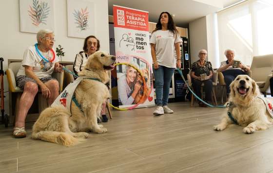Geriatricarea- Kiwoko y Amavir lanzan 'Momentos Senior', terapias con perros para combatir la soledad no deseada en residencias