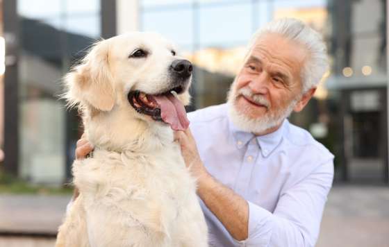 Geriatricarea- mascotas y personas mayoes